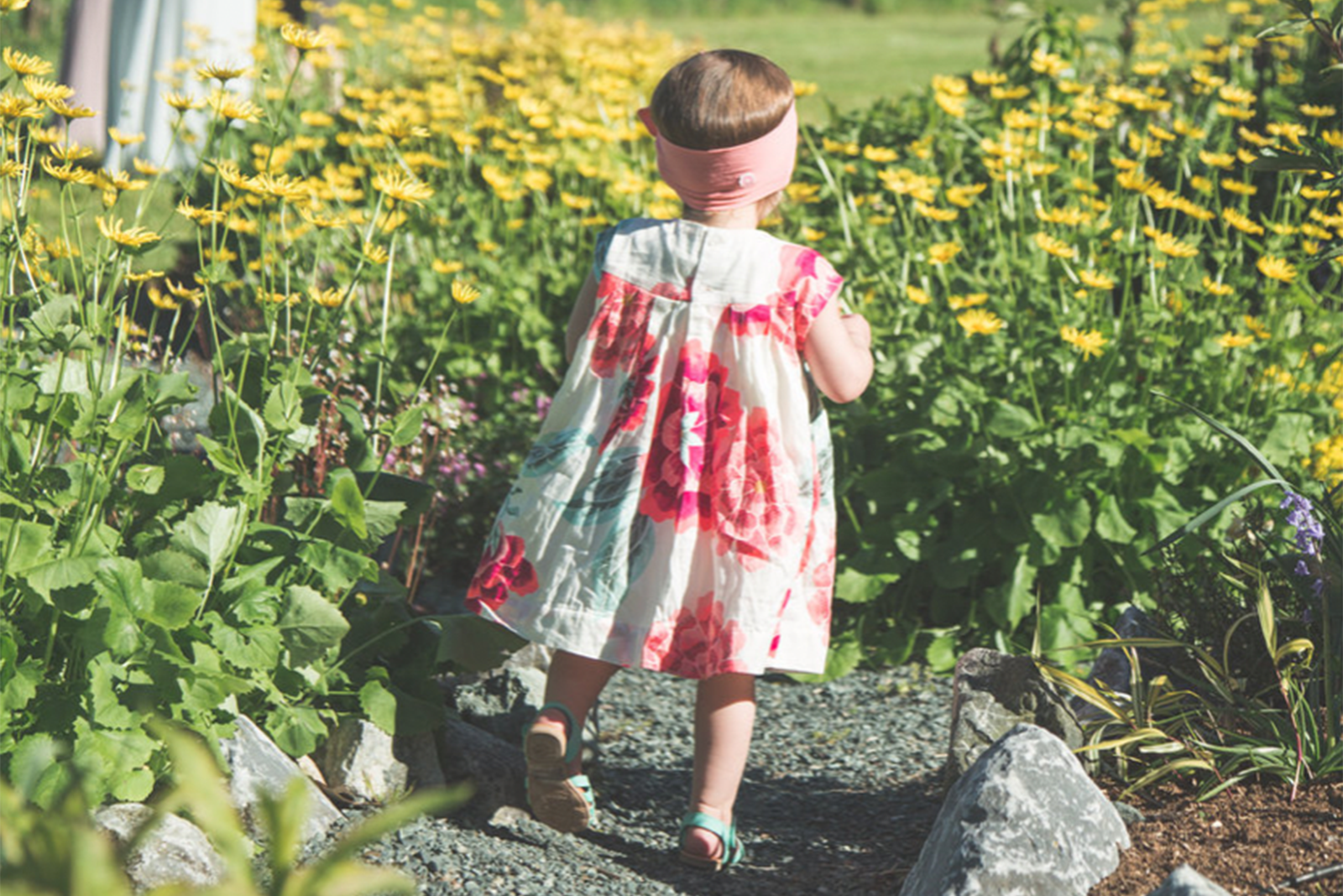 child wandering the gardens